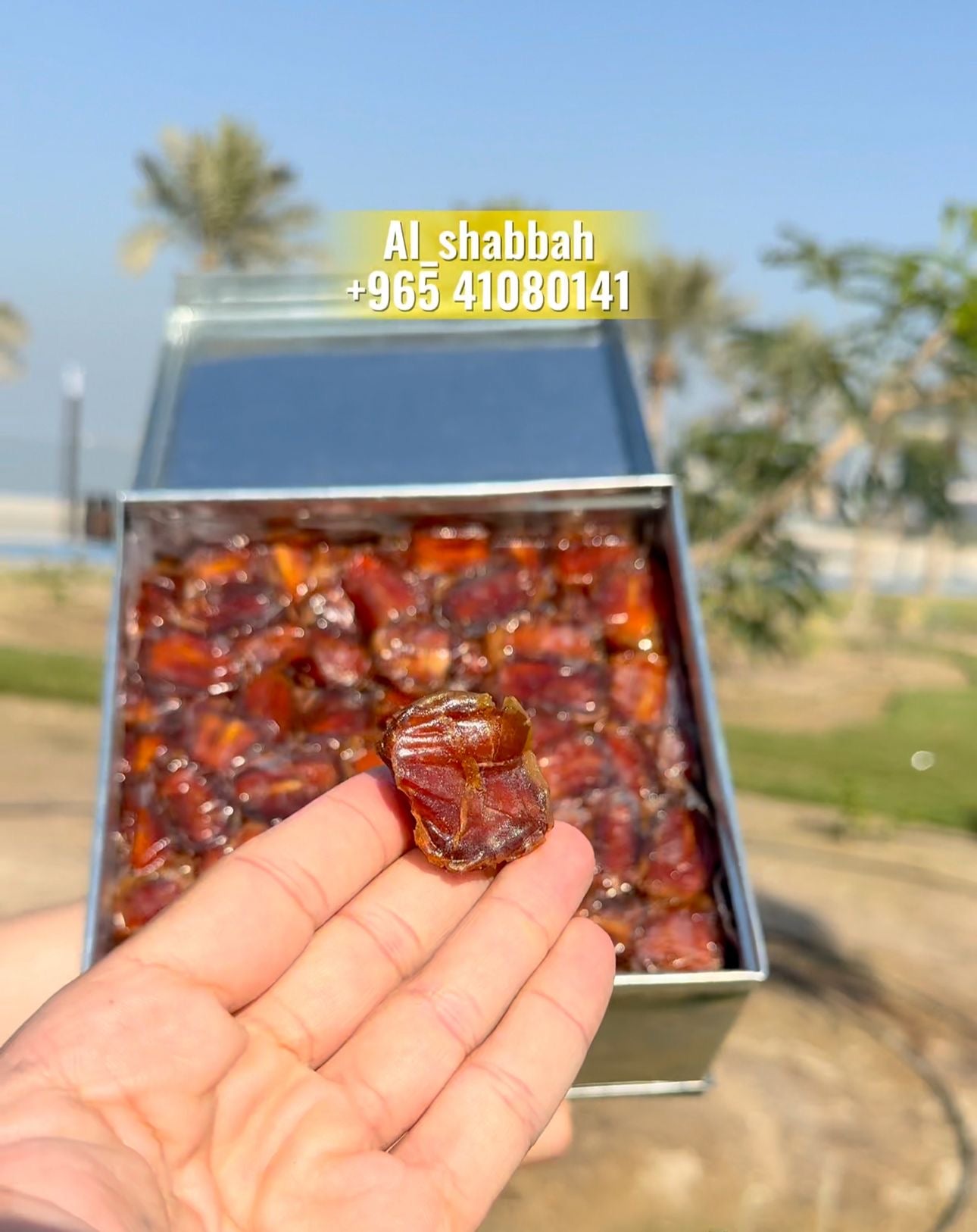 كبس التنك ٤ كيلو اخلاص القصيم